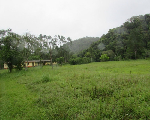 Imagem 9 de 16 de Juquitiba/sitio Prox Rodovia /aberto A Propostas/ref:04504