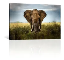Comprar Cuadro Decorativo Animales Canvas Elefante Entre Pastizal