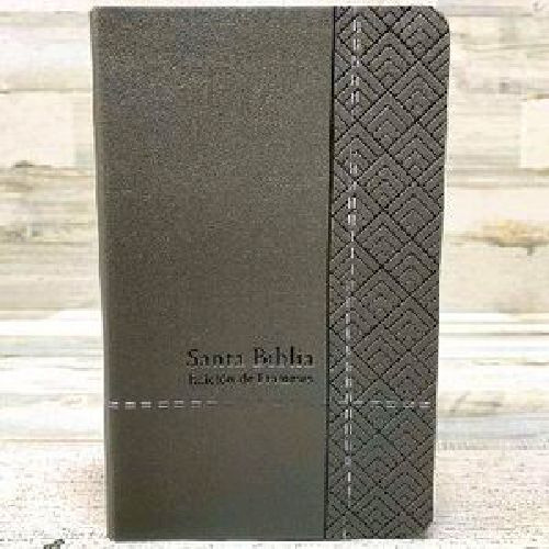 Santa Biblia -biblia De Promesas-        (manual/piel Gris/