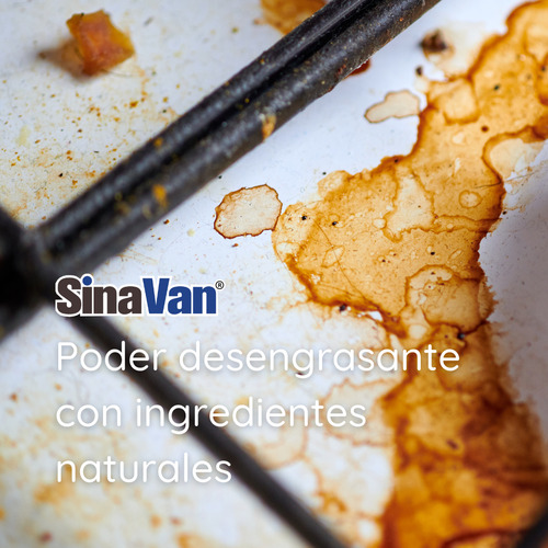 Desengrasante Limpiador De Cocina Natural 500 Ml