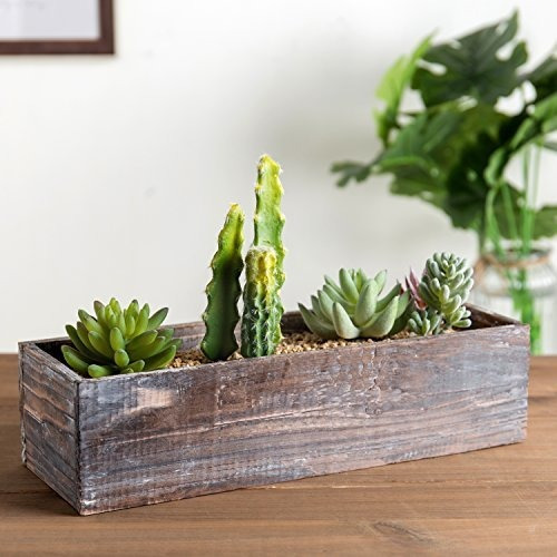 Imagen 5 de 7 de Mygift Country Rustico Marron Madera Anidacion Suculent Plan