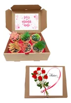 Comprar Regalo Para Mamá En Caja Macetas Plantas Artificiales Macetas