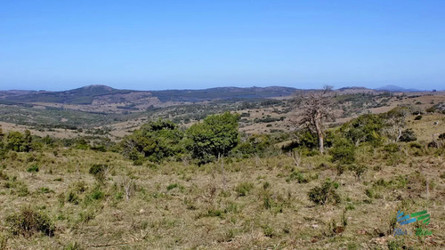 Campo De Sierra Sobre Ruta 12