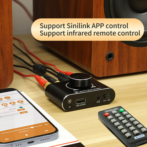 Módulo Y Placa Controladora De Control De Amplificador De Au