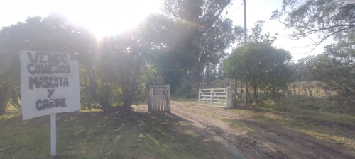 Quinta En Venta En Mar Del Plata