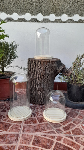 Cúpula De Vidrio Decorativa Para Centro De Mesa Chico