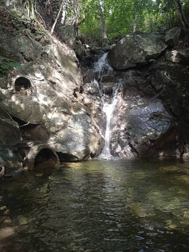 En Venta Finca Agroturística En Villa Virginia, Estado Aragua. L.m