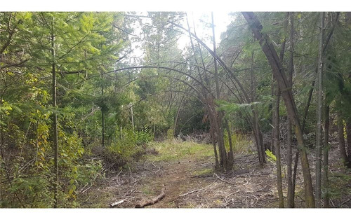 Lote 7,9 Ha Lago Puelo Increíbles Vistas