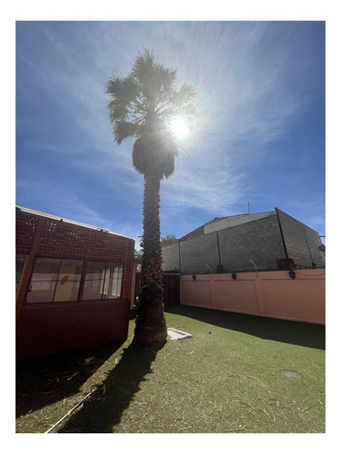 Imagen 7 de 24 de Casa En Venta Cerca De Estadio Zorros Del Desierto