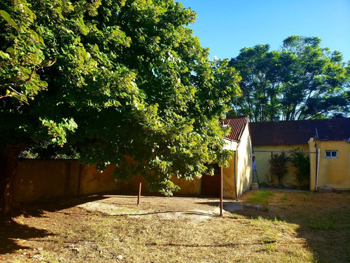 Imagen 4 de 7 de Casa En Venta En Conchillas - Oportunidad De Inversion