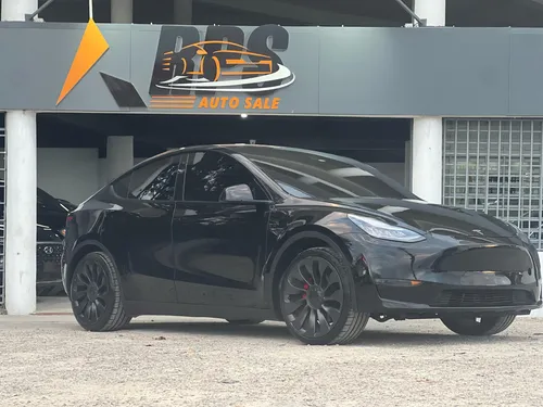 Tesla Model Y Performance 2021
