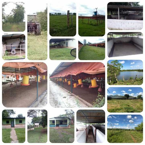Imagen 22 de 22 de Finca En Tinaquillo Con 132 Hectáreas, Excelente Oportunidad