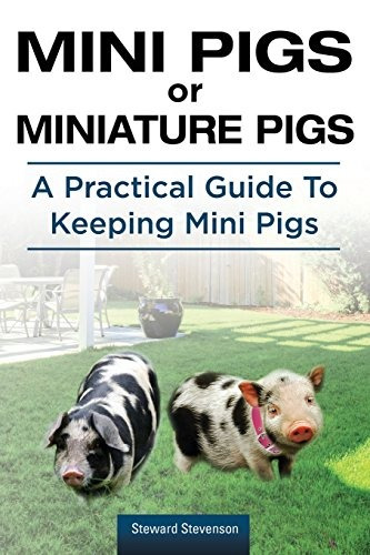 Mini Cerdos O Cerdos En Miniatura Una Guia Practica Para Man