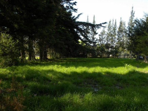 Imagen 2 de 6 de 135 Entre 422 Bis Y 423 - Lote En Venta - Villa Elisa