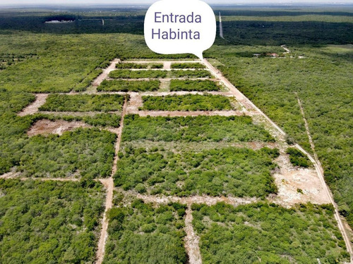 Imagen 3 de 20 de Lotes Residenciales De Inversión En Habinta Cerca De Chicxu