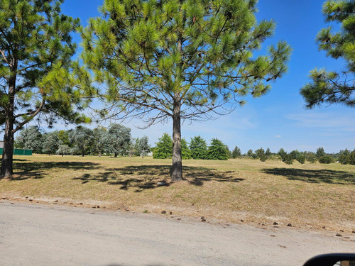 Lote Terreno 189 En Venta. Everlinks Golf & Country Club. Lujan