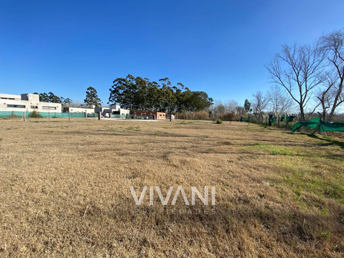 Imagen 7 de 17 de Venta Lote 176 E/48 Y 49. Barrio Villa El Tala. Berisso
