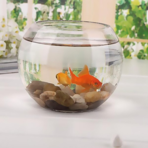 Imagen 4 de 5 de Tanque De Cristal Para Peces Ronda Recipiente De Vidrio