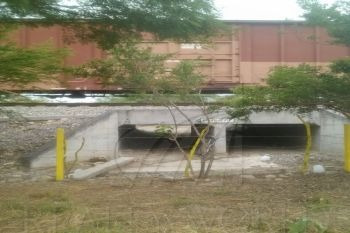 Imagen 3 de 5 de Terrenos En Renta En Agrarista, Salinas Victoria