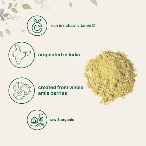 Polvo De Amla Orgánico 453 Porc Vitamina C, Antioxidantes Grosella