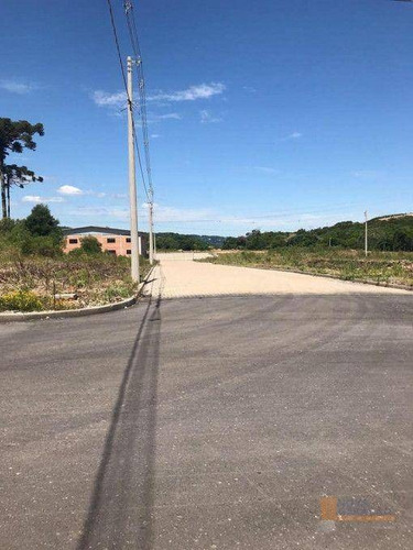 Imagem 3 de 11 de Terreno À Venda, 696 M² Por R$ 315.000,00 - Mariland - Caxias Do Sul/rs - Te0255