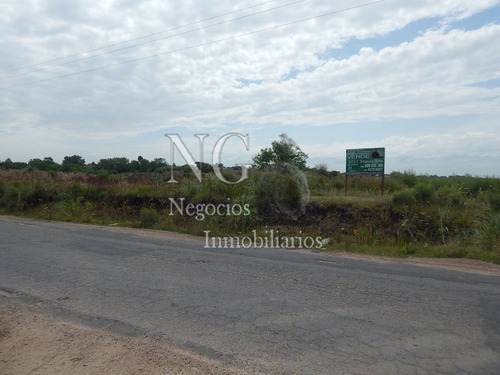Imagen 14 de 14 de 3 Padrones De Campo Para Inversión!