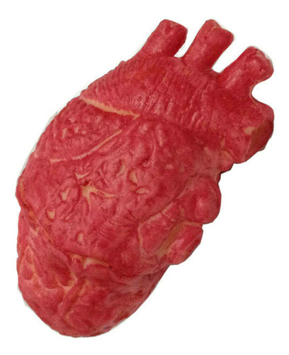 Látex De Látex Falso Con Forma De Corazón Humano, Tamaño Nat