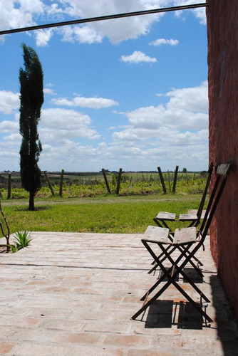 Imagen 17 de 23 de Campo 24 Hectáreas, Destino Productivo Y Turístico. Dos Casas, Galpón, Vista Panorámica.