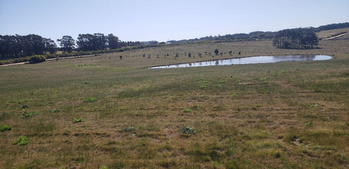 Imagen 12 de 30 de Chacra En Venta, Fraccion De 20 Has En Jose Ignacio (ref: Atm-6766)