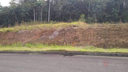 Terreno À Venda, 390 M² Por R$ 179.000,00 - Itoupava Central - Blumenau/sc - Te0303