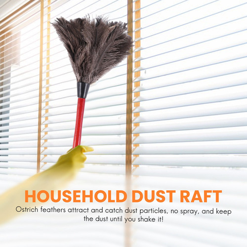 Aspas De Ventilador For Limpiar Plumas De Avestruz, De Vari