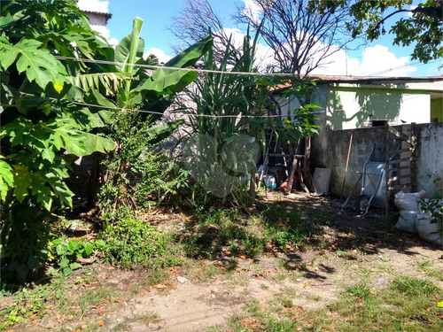 Imagem 3 de 15 de Terreno Na Vila Guilherme - Reo264343