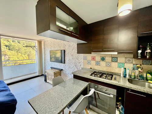 Departamento Céntrico 2d Concepción (81010)