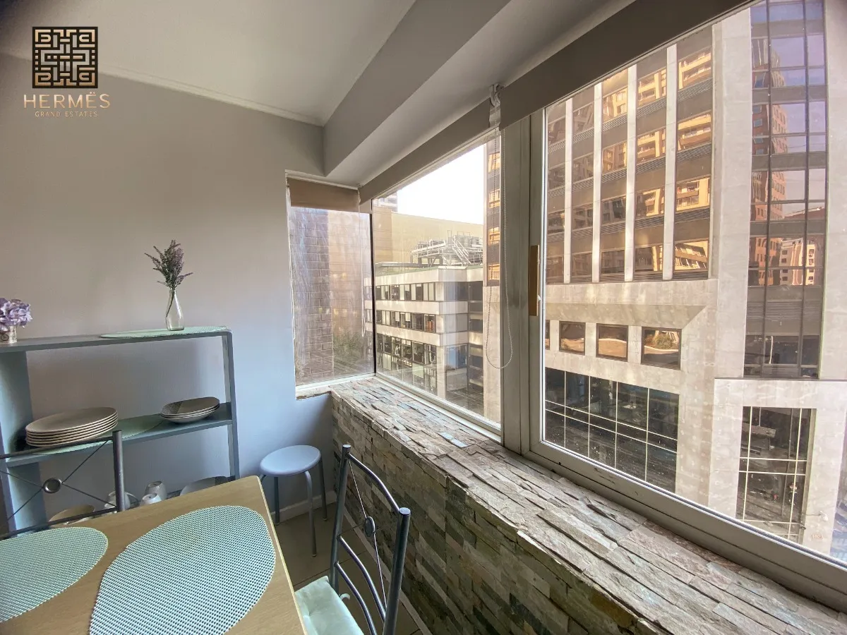 Imagen 4 de 24 de Se Vende Hermoso Y Cómodo Departamento En Stgo. Centro