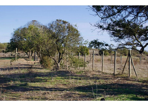 Imagen 1 de 6 de Se Vende Terreno En Campus Del Mar