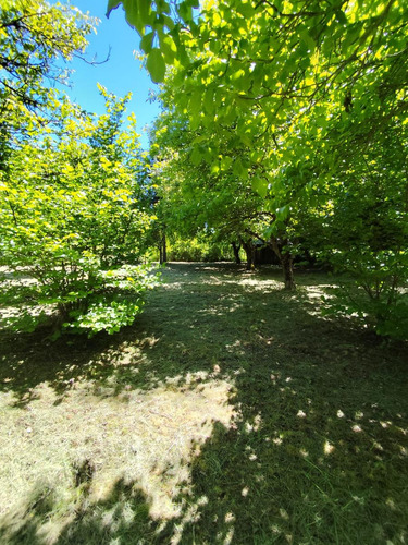 Chacra En Ruta 16