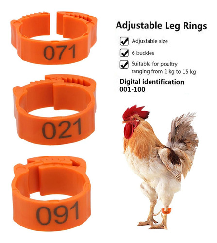 Cw100 Piezas Bandas De Identificación De Pollo Bandas Parait