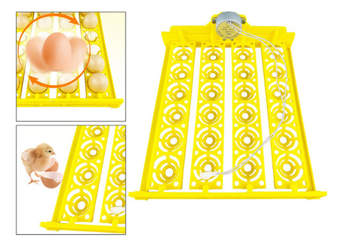 Incubadora De Ovos 24 Ovos Mini Incubadora Automática