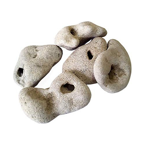 (5 Piezas) Arenisca Natural Collar, Piedra Hag Del Mar ...