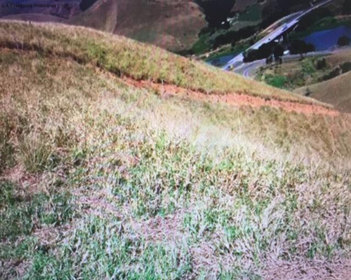 Imagem 8 de 13 de Fazenda À Venda No Lavrinhas - Lavrinhas/sp - Fa00079 - 68175338