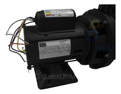 Bomba Motor Weg 1/4cv Filtro Para Piscinas Alvenaria Fibra