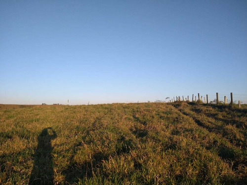 Imagem 12 de 14 de C03- Promoção Terrenos De 10.000m² Com Vista 360°