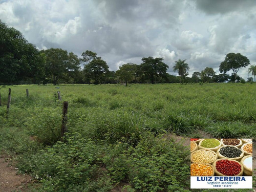 Imagem 3 de 8 de Fazenda À Venda Em Camapuã - Ms - De 865 Hectares (pecuária) - 1674