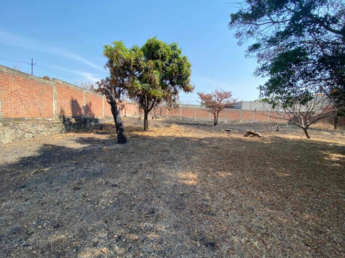 Imagen 8 de 10 de 3 Terreno En Oaxtepec 500 Mt Cuadrados Planos Cada Uno Bardeados Excelente Prusvalia Cerca De Six Flax