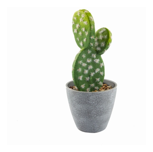 Cactus Hermosos En Macetero Gris Para Decoraración