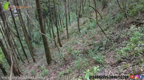 Imagen 8 de 14 de En Venta Lote Guarne Vereda La Brizuela 6.500m²