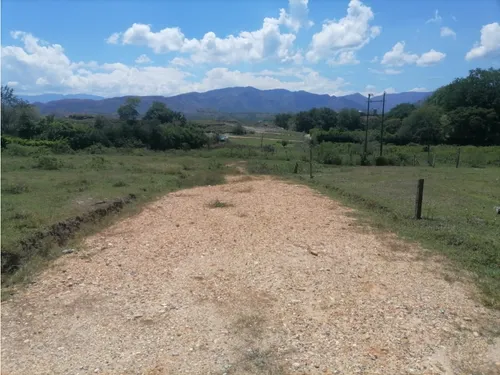 Vendo Lote En Carmen De Apicala