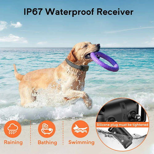 Collar De Adiestramiento Para Perros Con Control Remoto Eléc