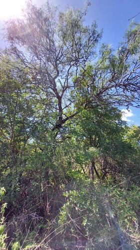 Imagen 8 de 13 de Venta De Terrenos En Villa De Las Rosas Traslasierra Cordoba