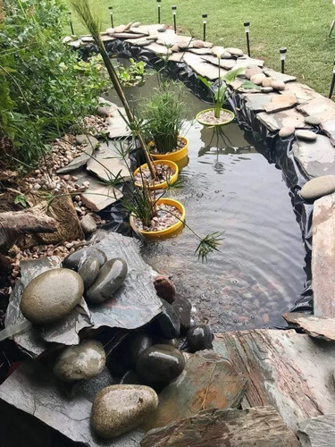 Estanques Con Peces Koi, Cascada, Filtro Automatizado Seña